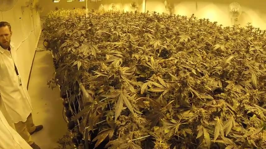 Las Vegas Dispensary Tour Featuring Reef Dispensary on Vimeo