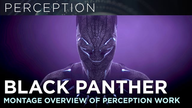 BlackPanther_Perception_Montage