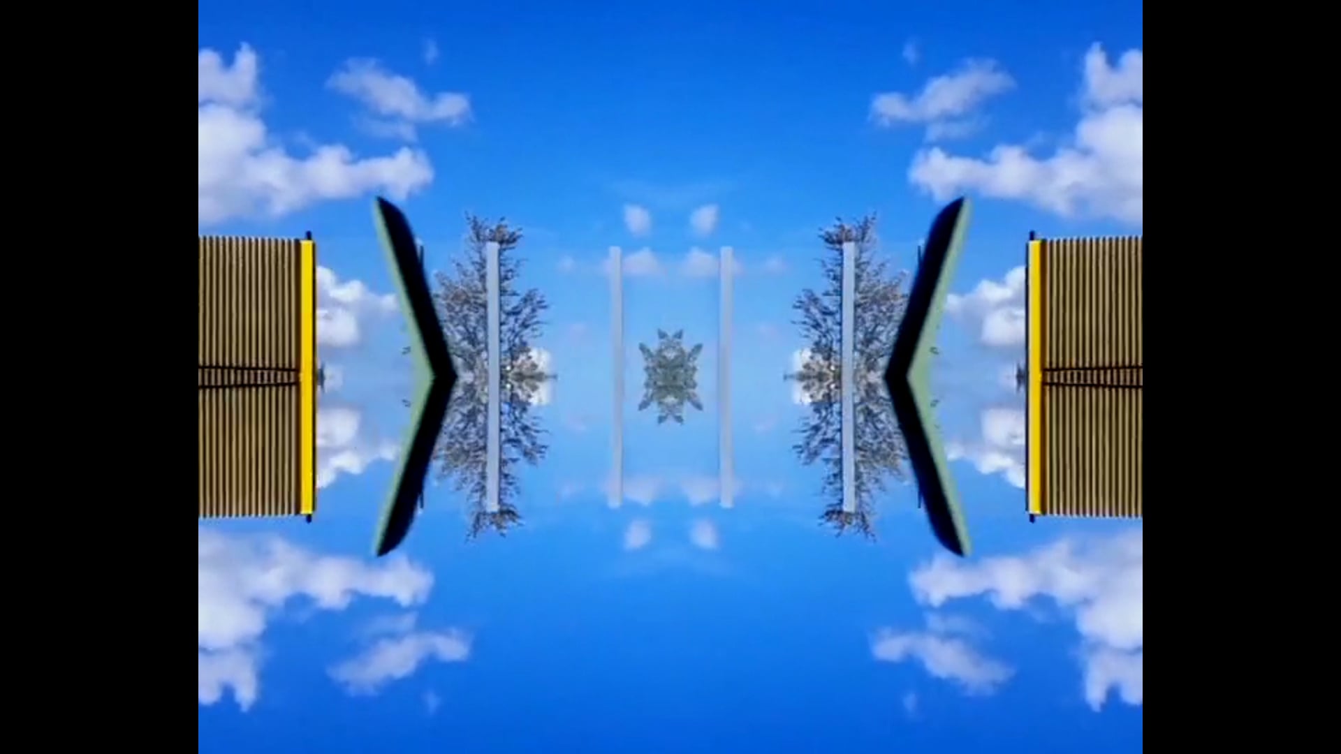 vj#14