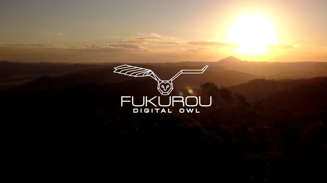Fujitsu | Digital Owl | Mount Dangar