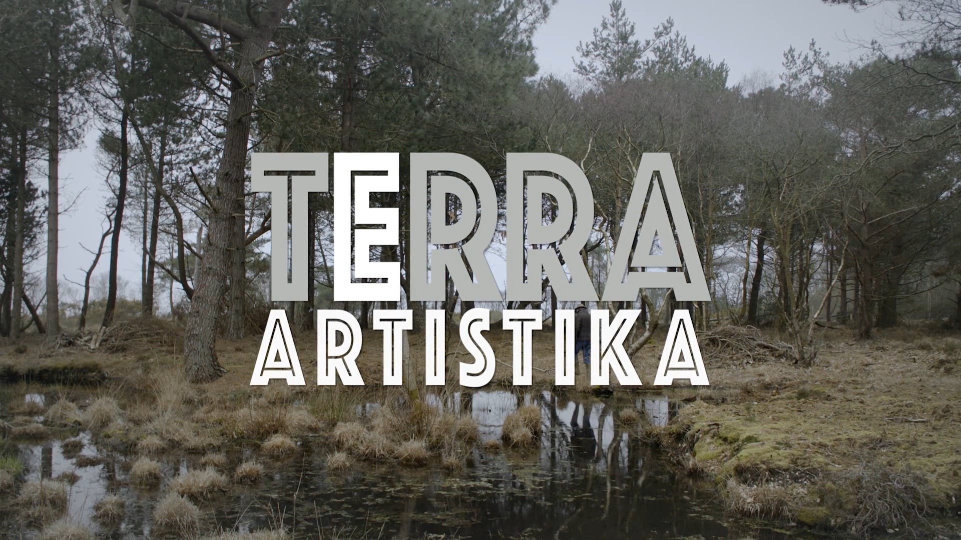 Terra Artistika