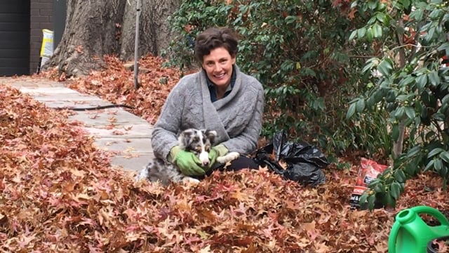 Leaf Composting