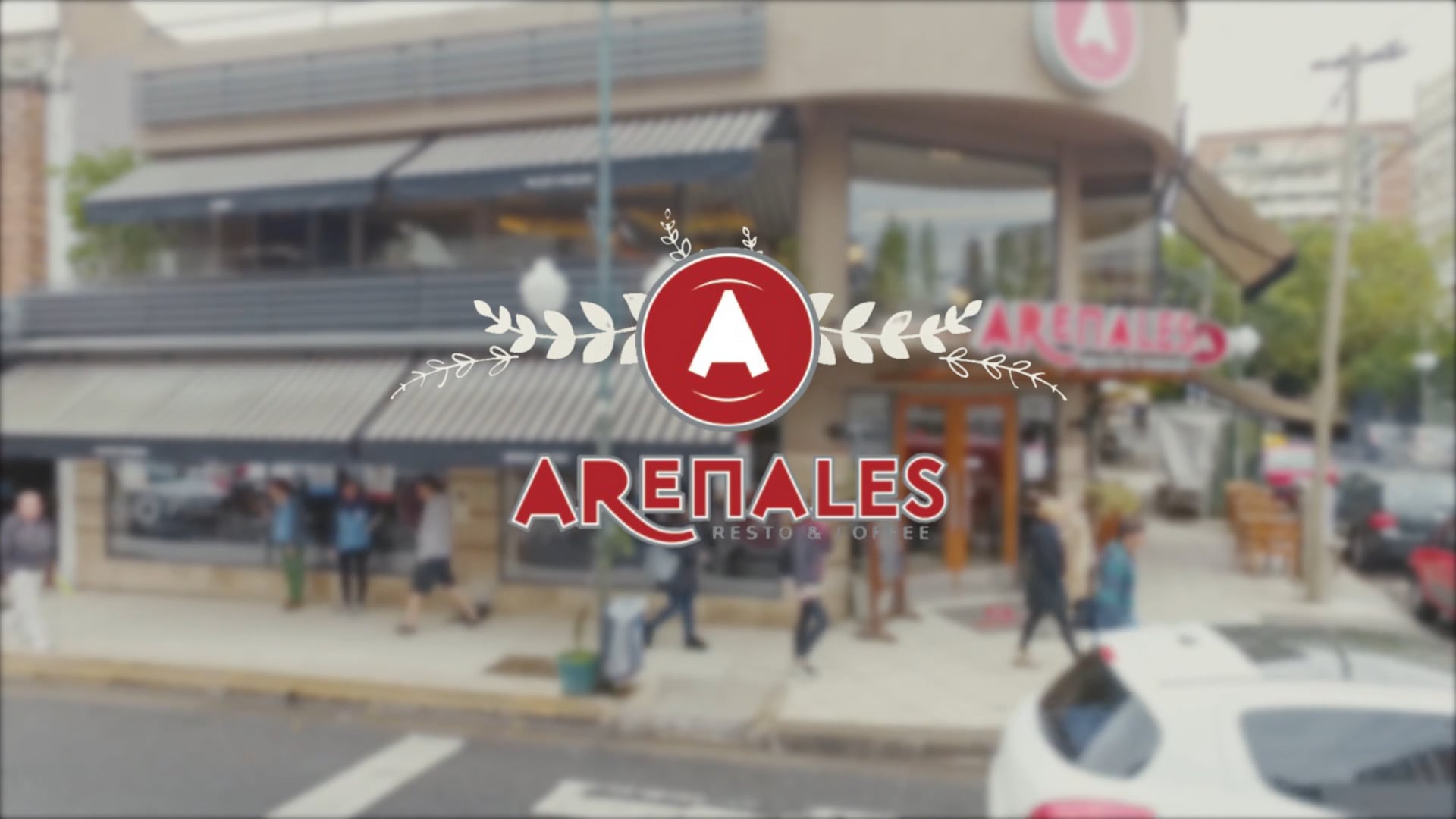 Arenales - Contenido