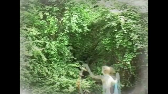 Related Embedded Video Item Thumbnail