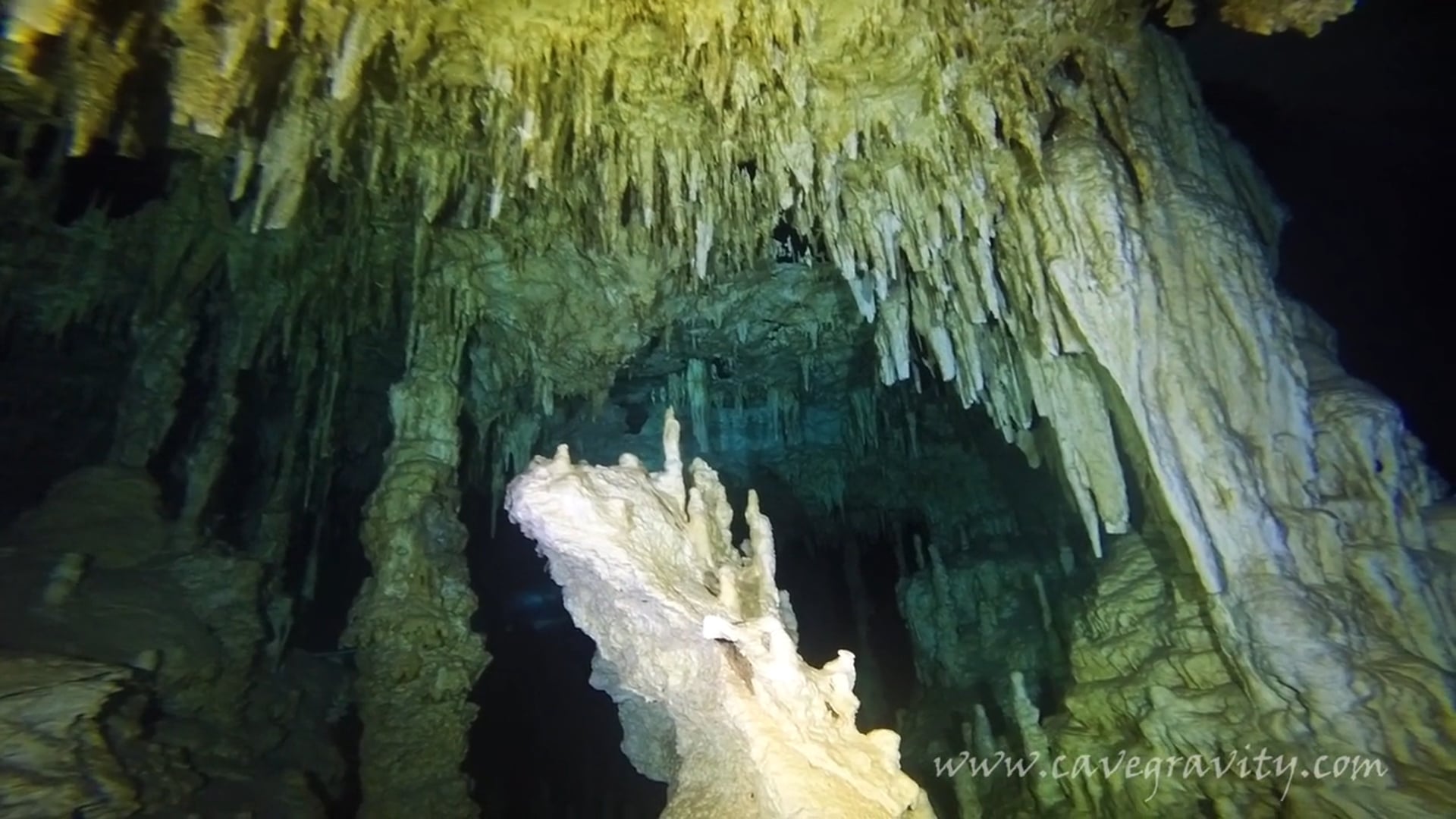 Barbie Line and Bat Cave at Cenote Dos Ojos