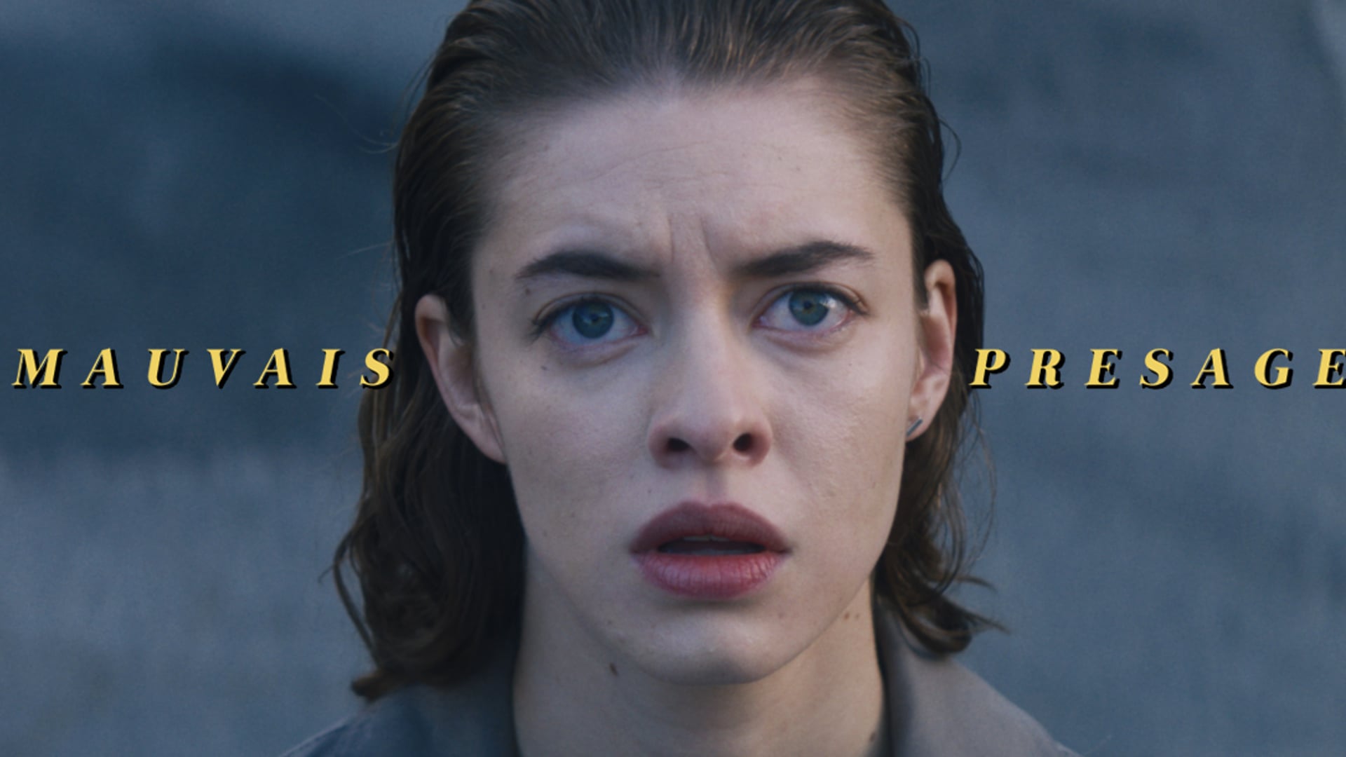 Requin Chagrin - Mauvais Présage