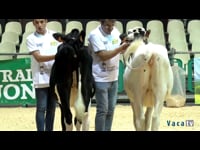 Terneras de 5 a 7 meses