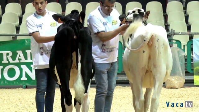 Xata de 5 a 7 meses