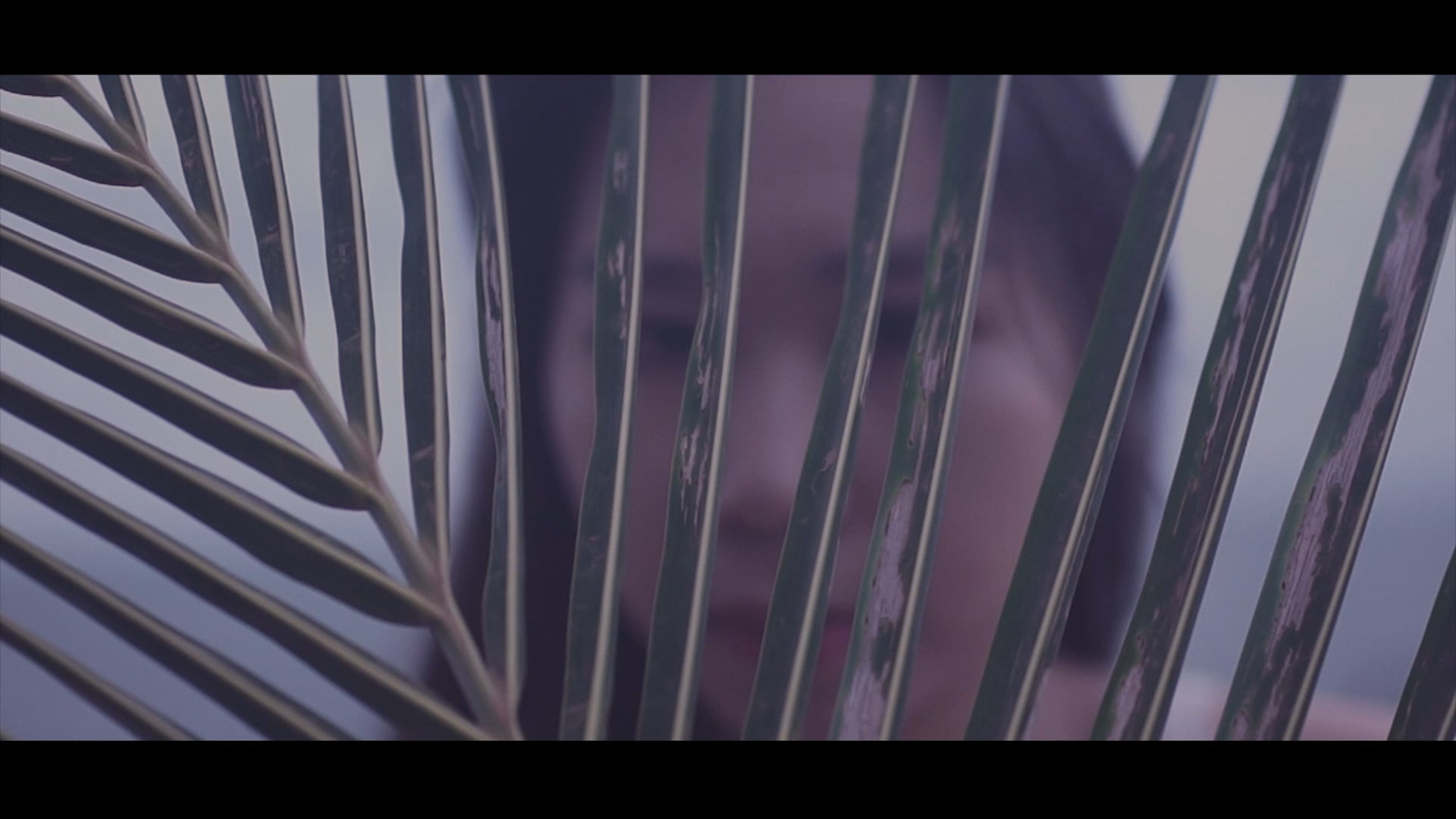 Hypnosis - a visual poem