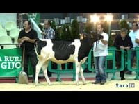 Terneras de 8 a 10 meses