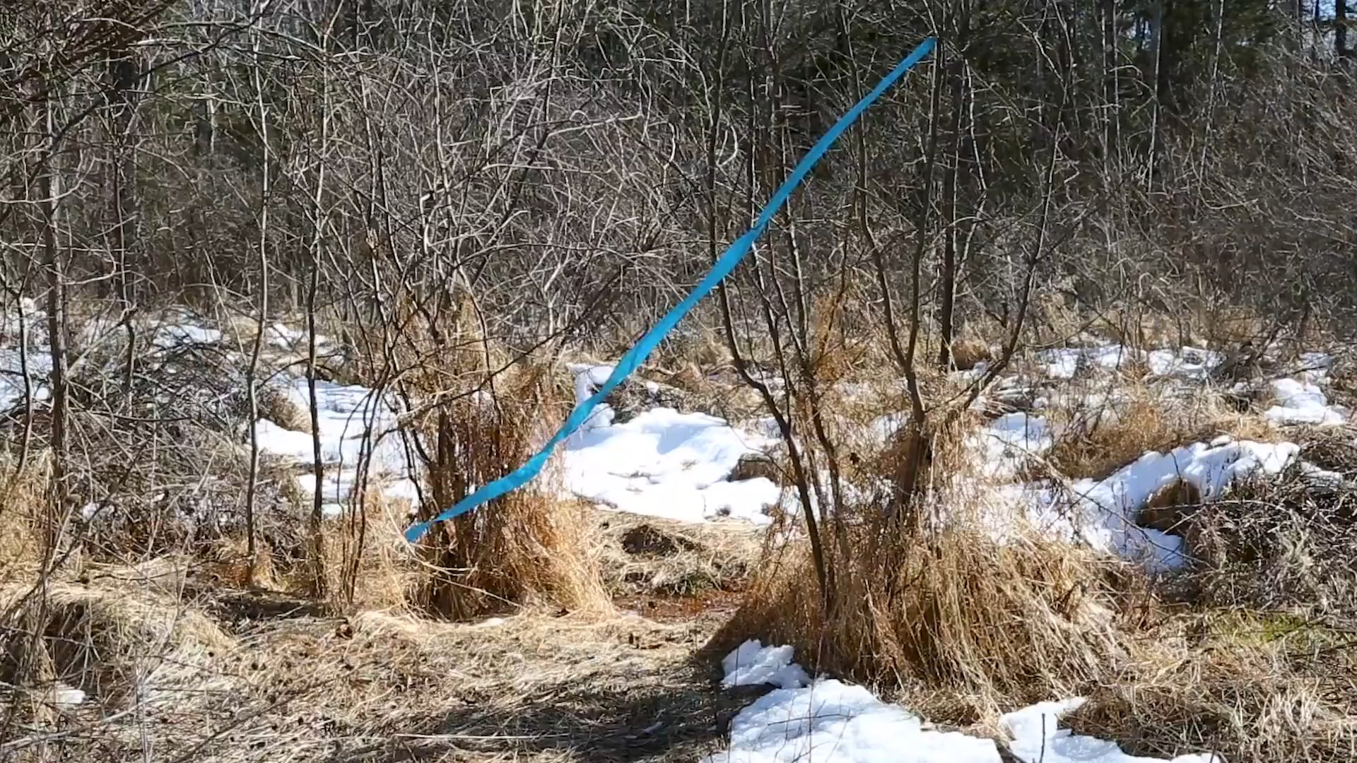 Kerhonkson HorseFarm Cottage Performance, 2018