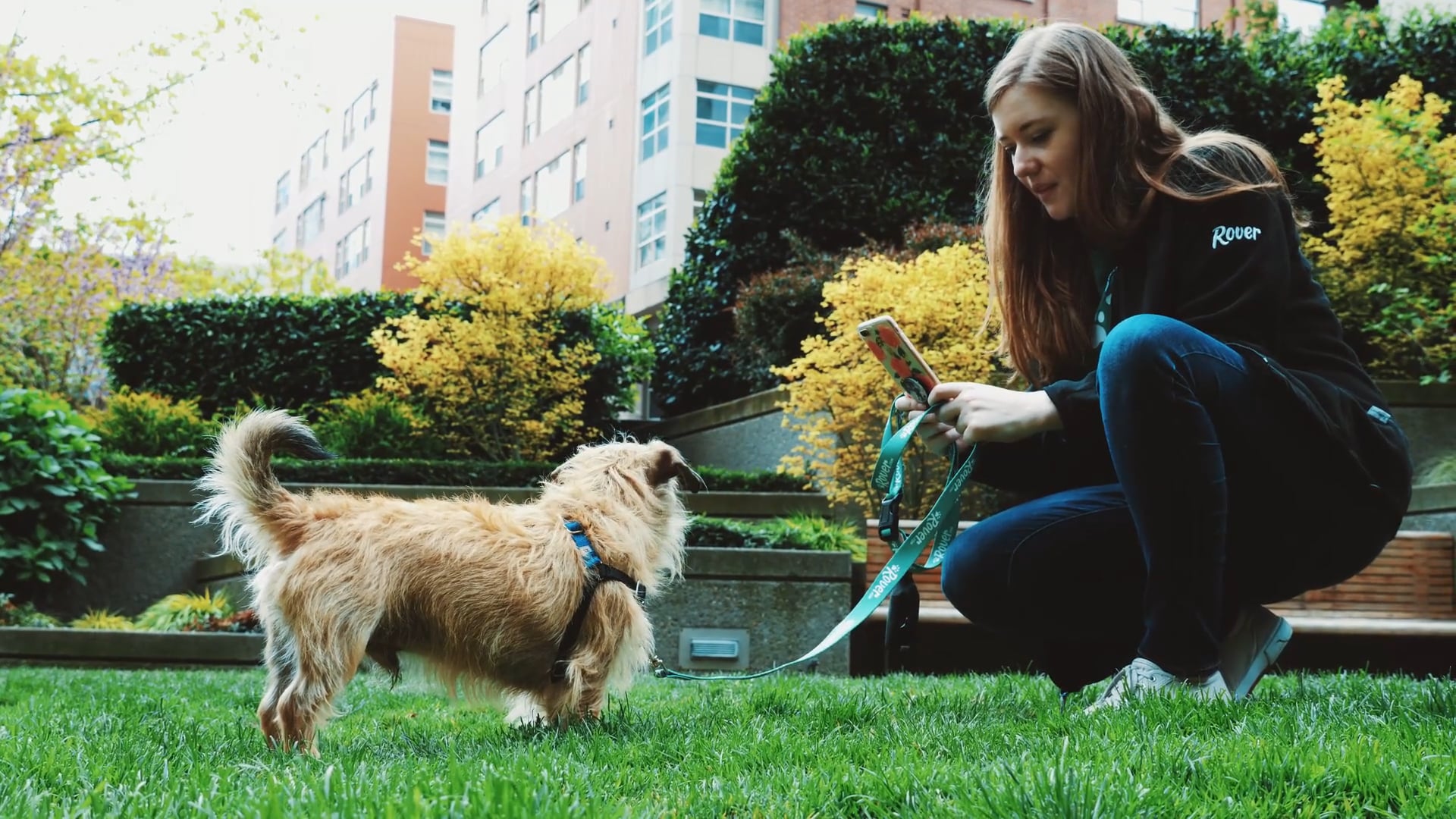 ROVER | Instructional Video