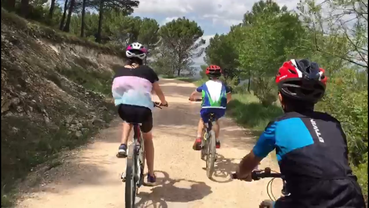 Día de la bicicleta