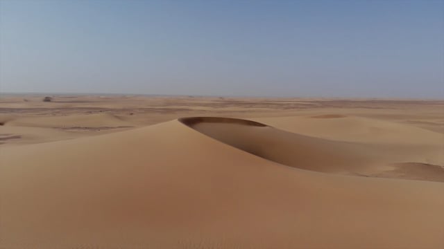 Dangers of the Sahara