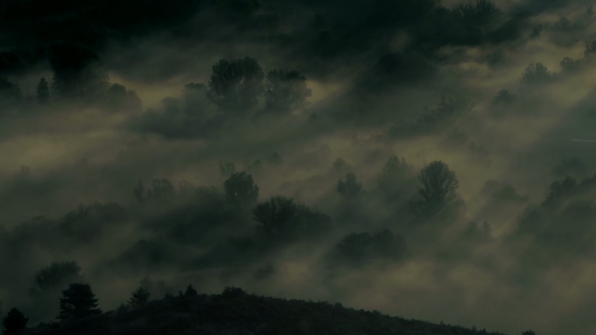 It's Christmas Time in Nature - 2017