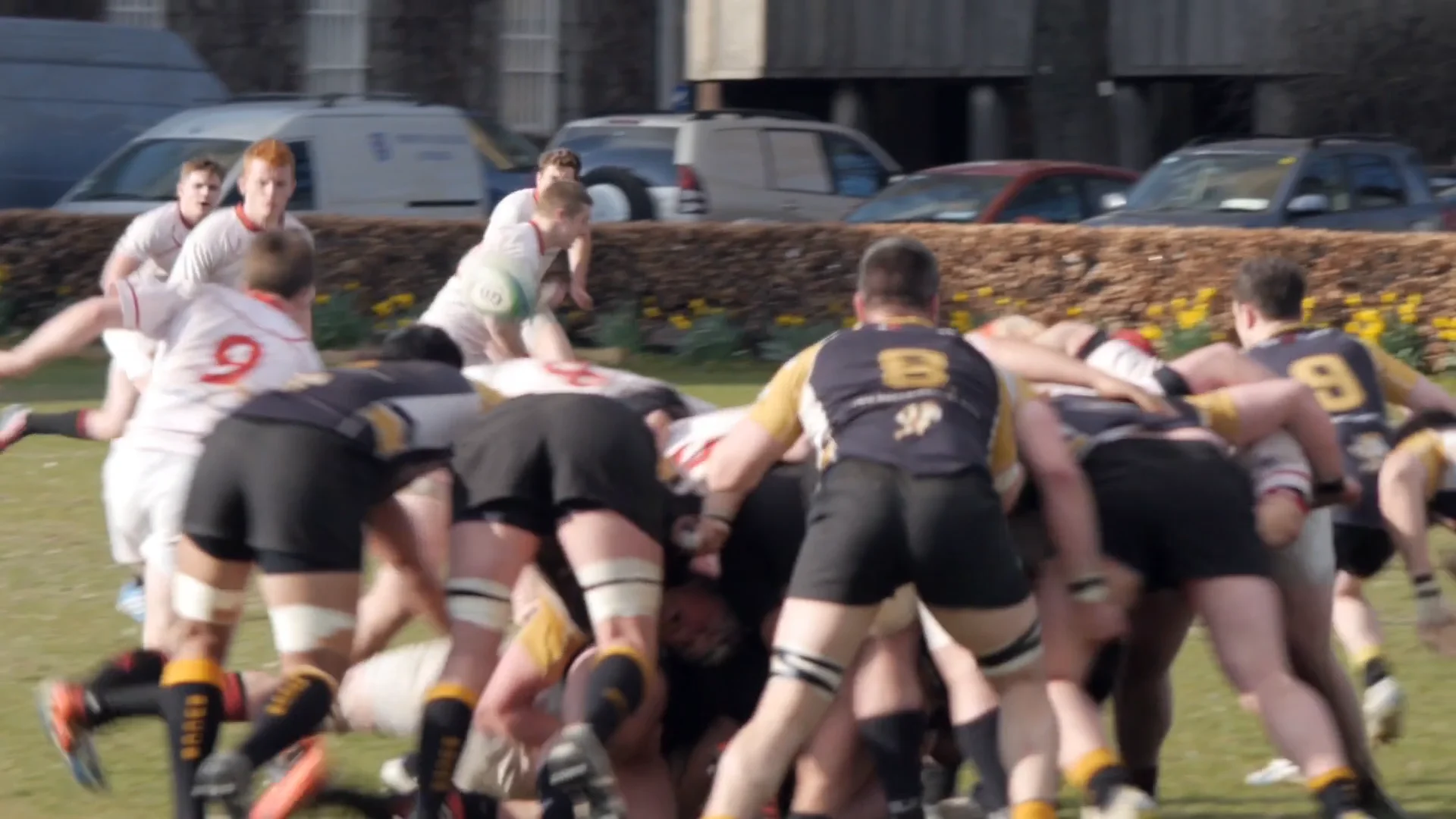 Irish Rugby Tours on Vimeo