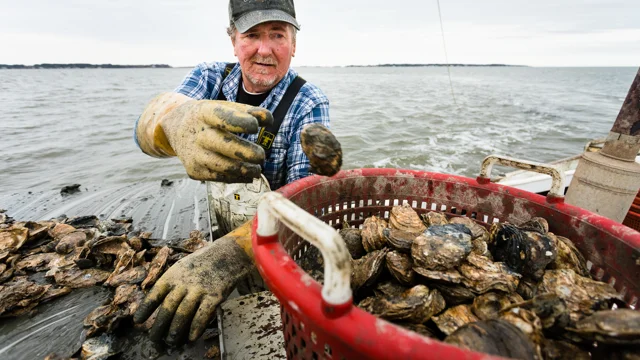 ᐅ Deal Island Marsh fishing reports🎣• Princess Anne, MD (United