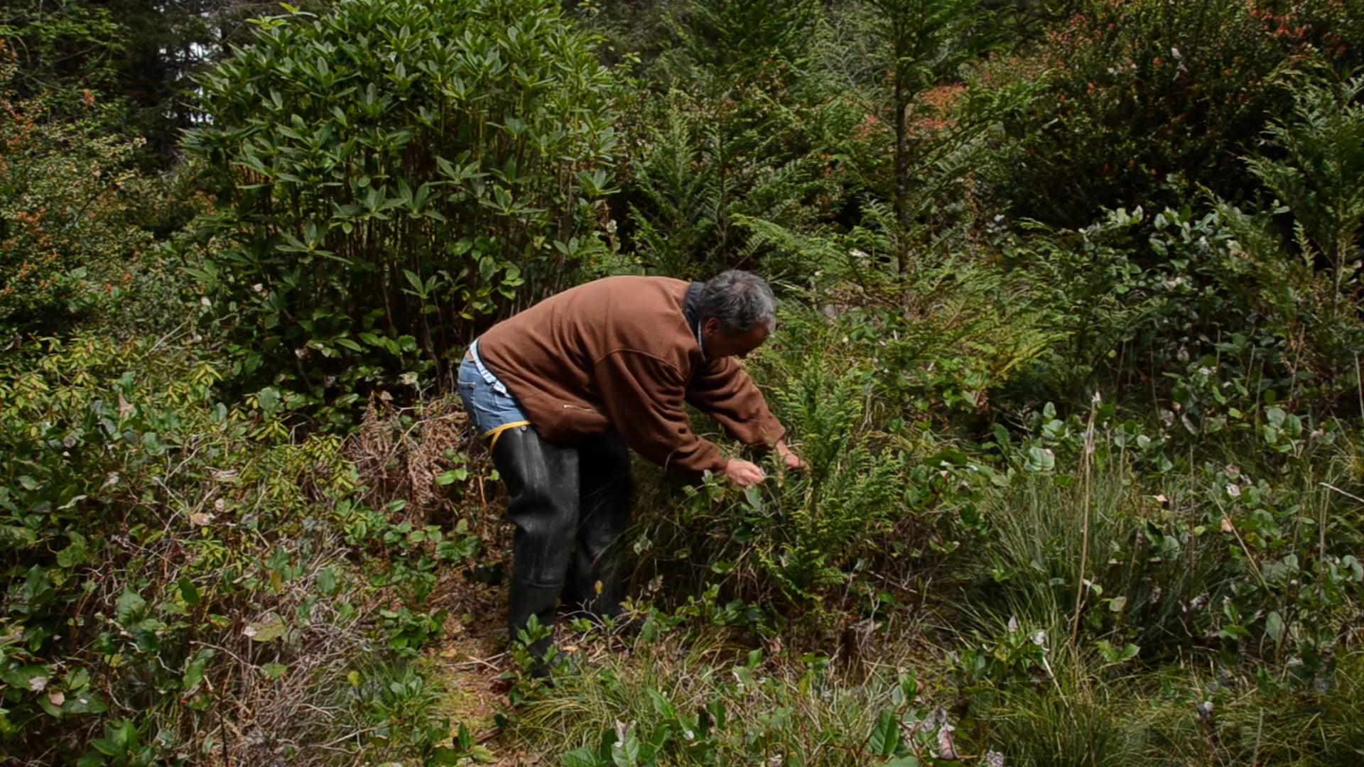 People of the Oregon Coast - Sacred Landscape