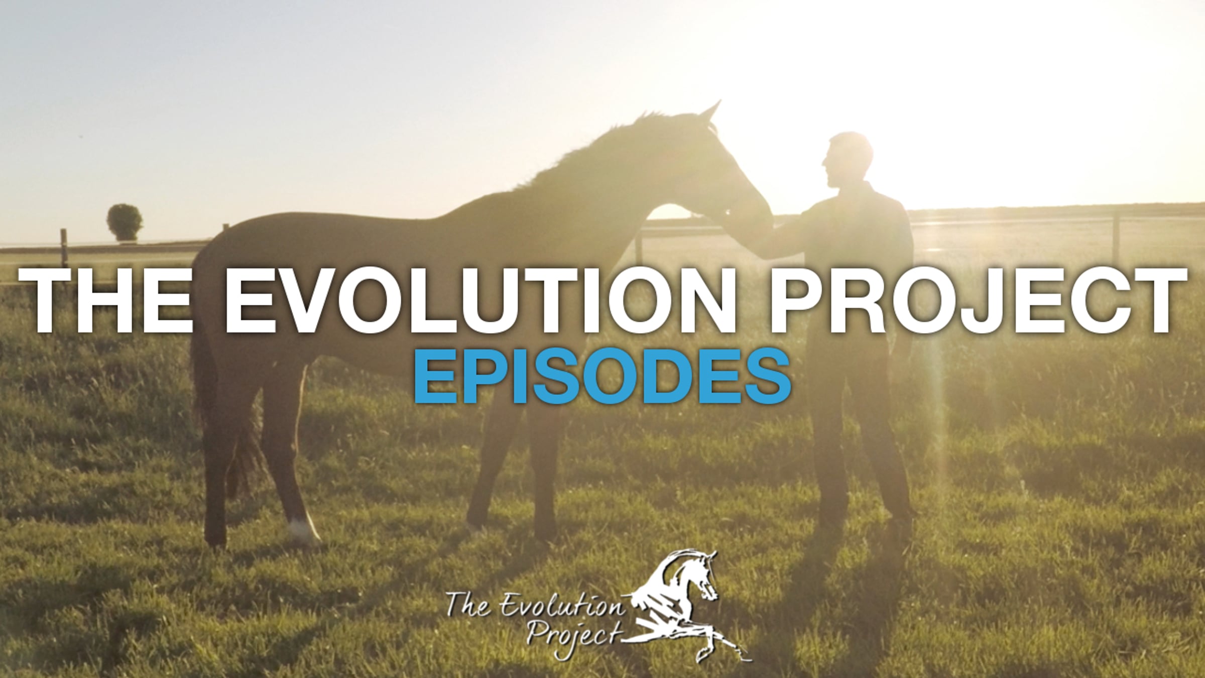 THE EVOLUTION PROJECT - Episodes (#2) | Videos & Movies on Vimeo