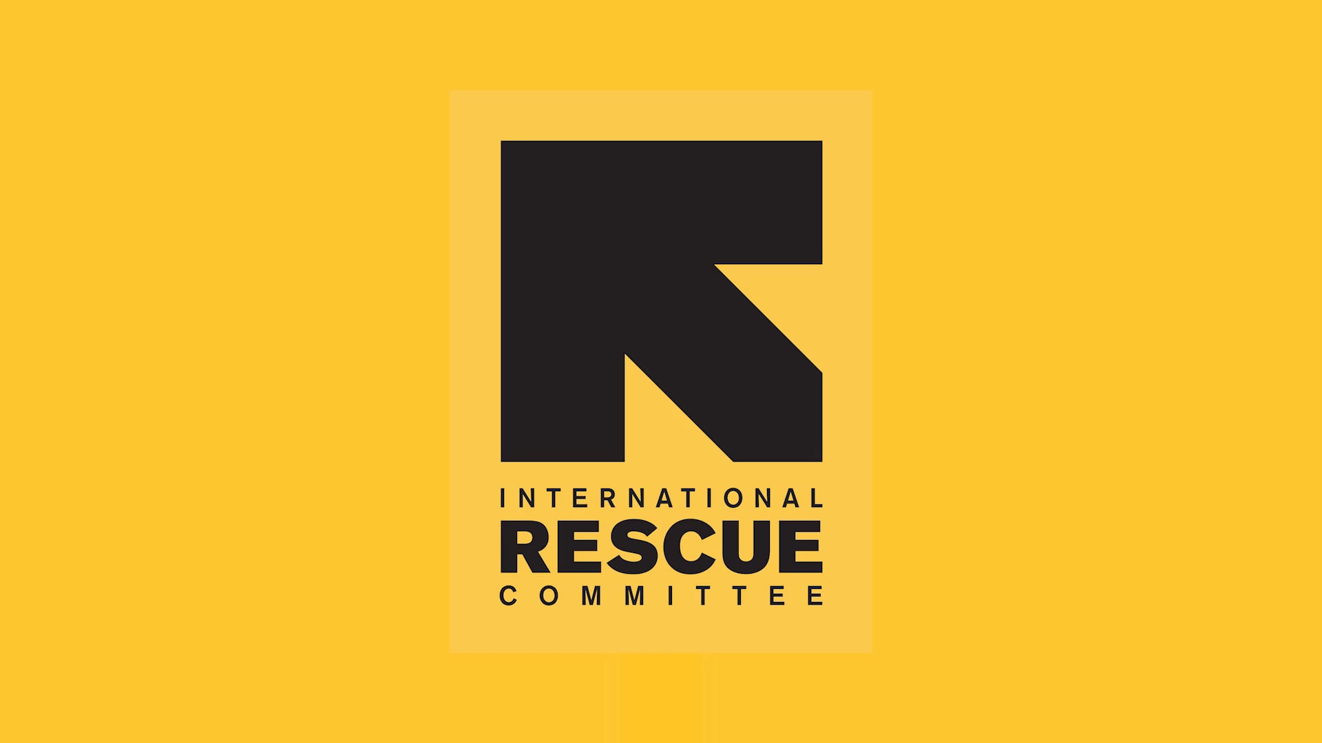 International Rescue Committee: VISION PROJECT - Manizgha