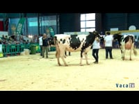 Campeonato de vaca ASCOL