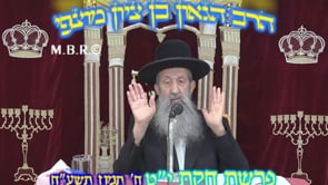 פרשת חקת יט תשעח