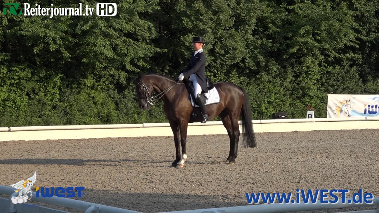 iWEST Dressurcup, Station Ludwigsburg 2018 - www.iWEST.de