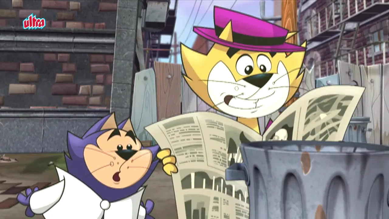 Top cat 2025 watch online