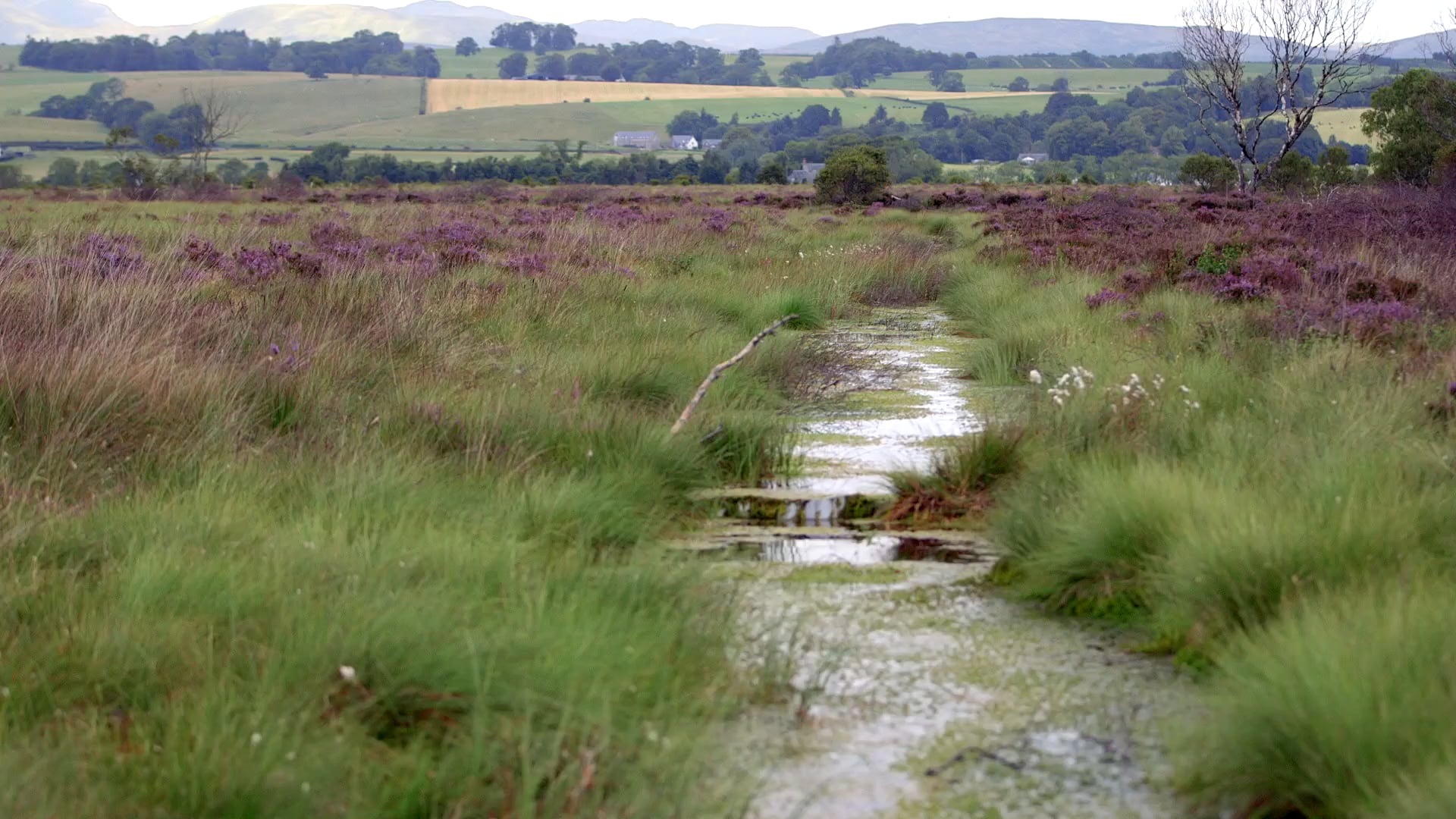 Scottish Natural Heritage - Peatland Action