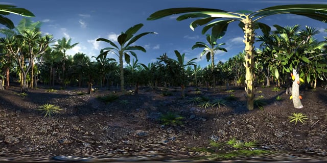 CEMOI - grands crus cacao VR