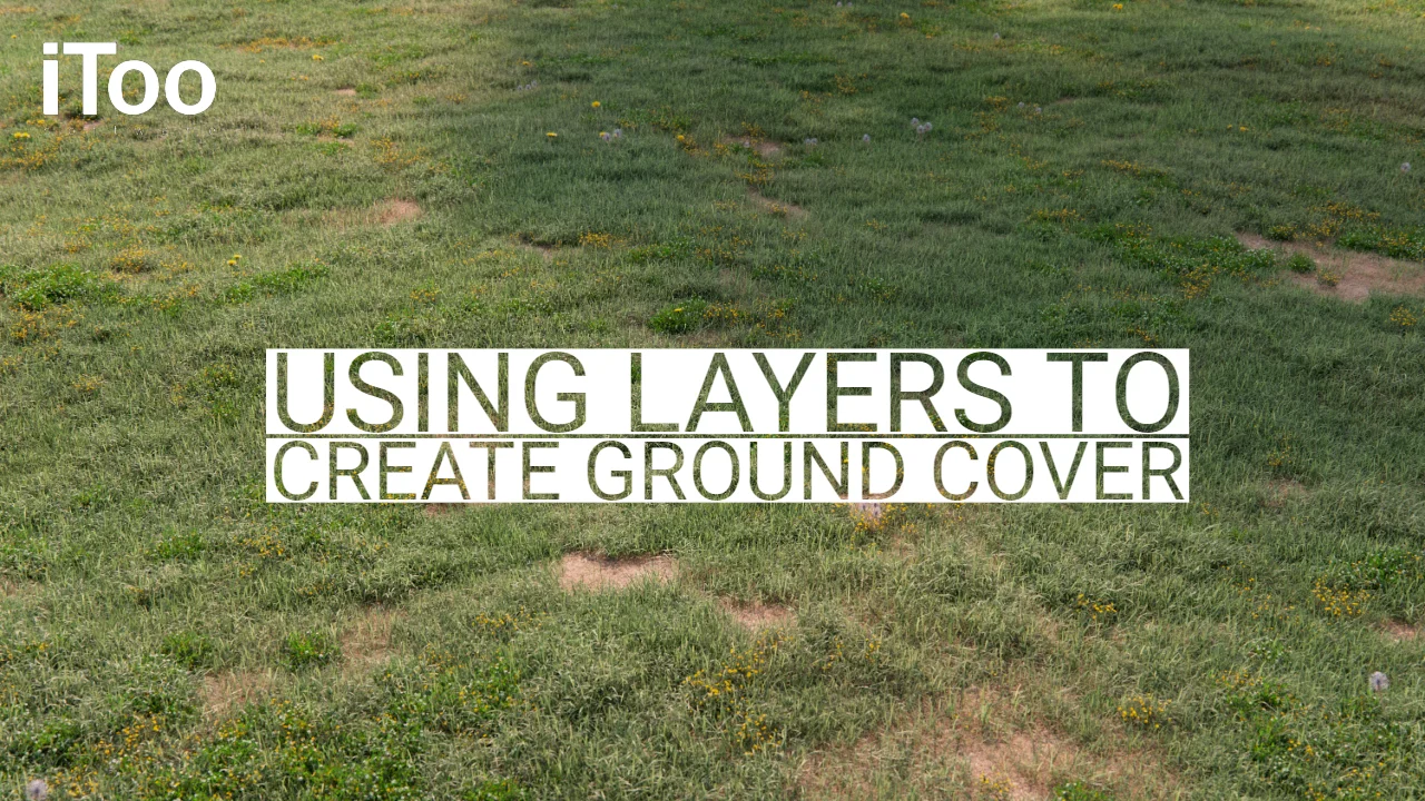 The ground was covered. Forest Pack Pro 6.1.5 для 3ds Max 2021. Урок по Itoo Forest Pack Pro.