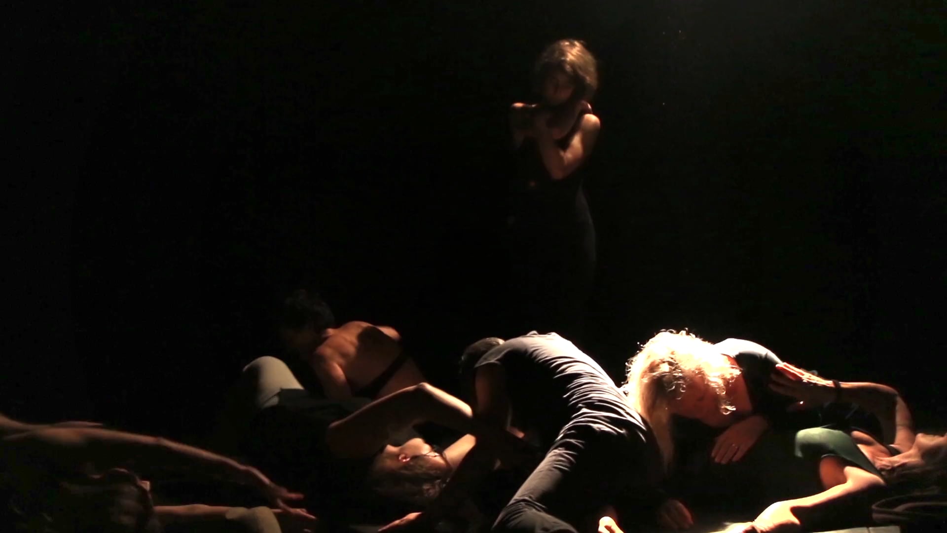 DREAMING A TERRITORY IS NEARLY A BIRD Play_suspended