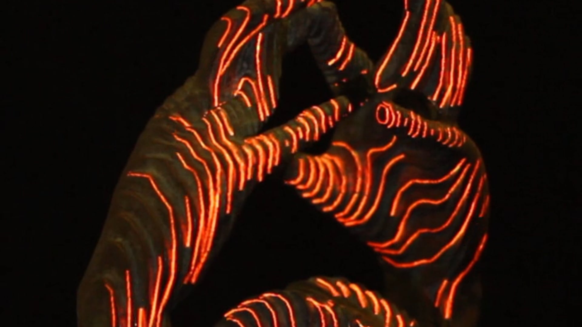 Entangled Hands Projection Mapping