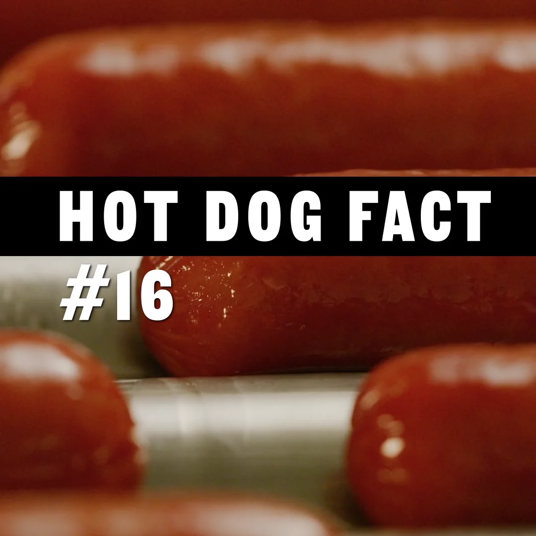 MEAT0418HOT DOG FACTSBATCH 1 MEAT0418Video_09 on Vimeo