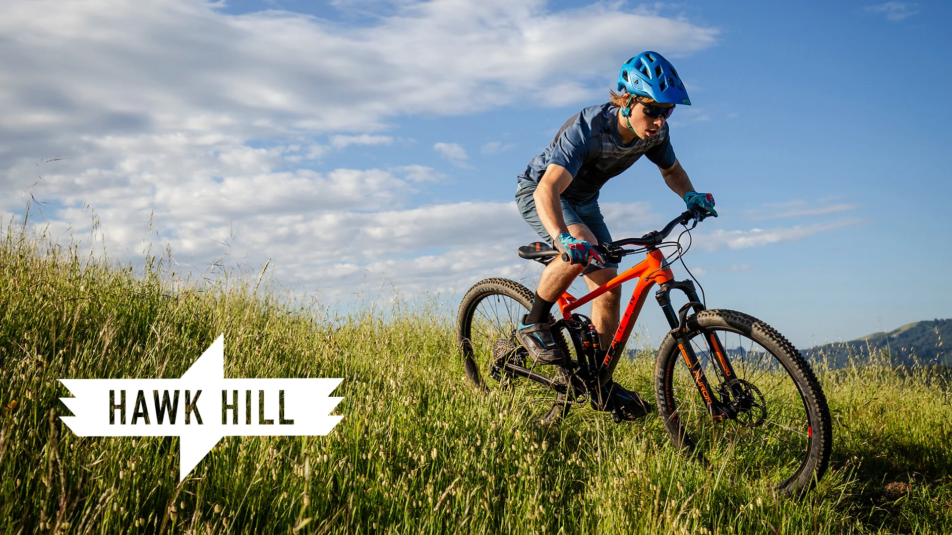Marin Hawk Hill