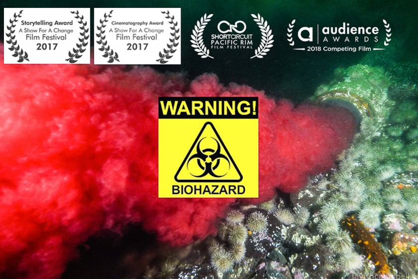 vimeo-video-thumbnail