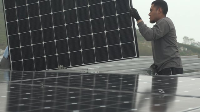 Treepublic Project Intro Video