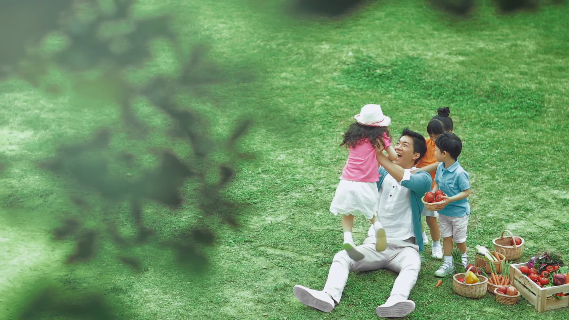 HiPP - Lai Lok Yi 黎諾懿 - Director Version
