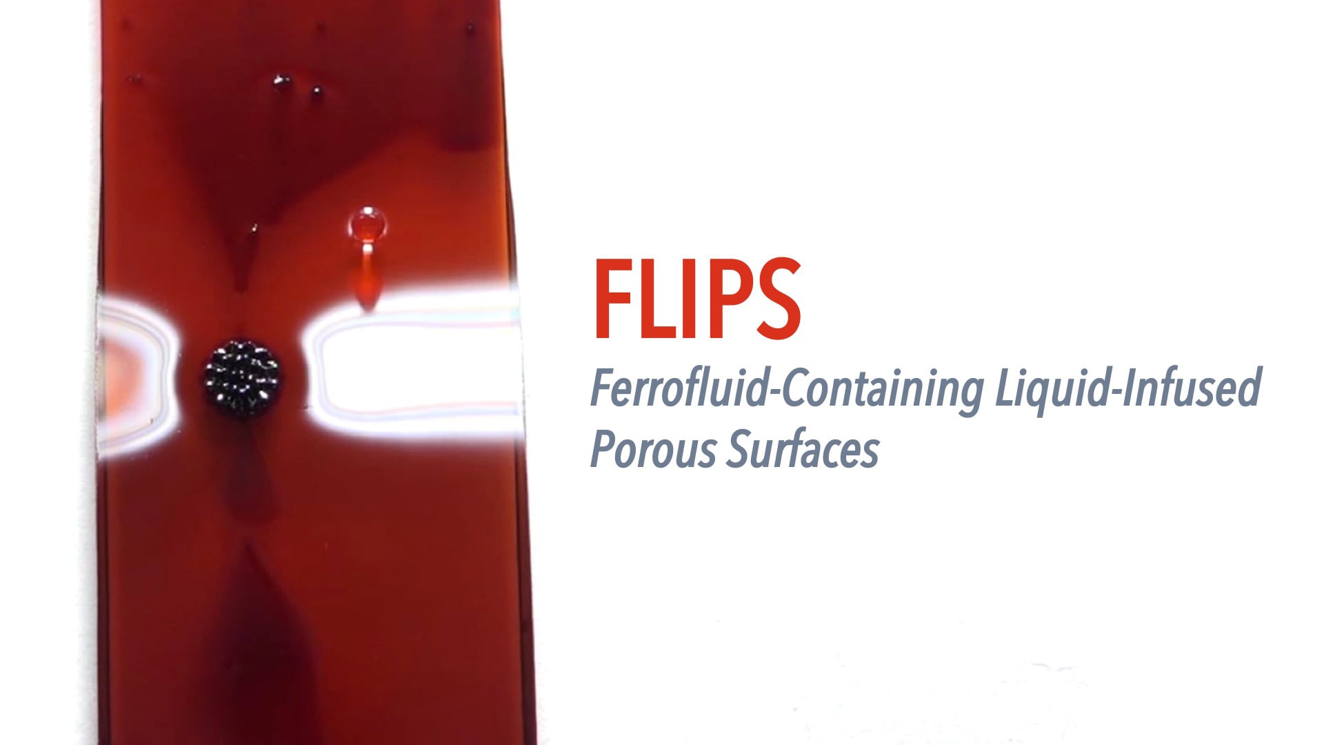 FLIPS: Ferrofluid-Containing Liquid-Infused Porous Surfaces