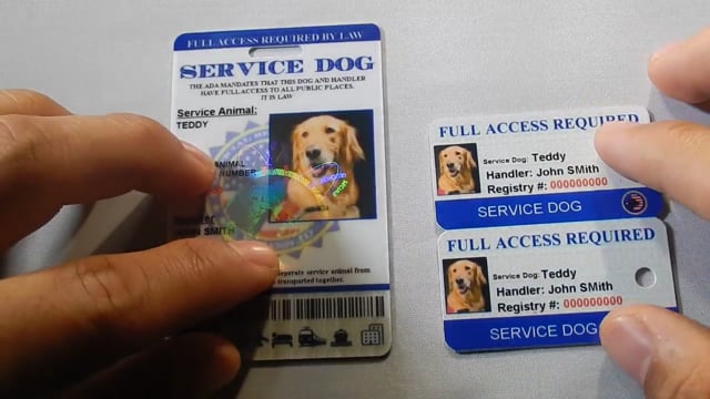 Fake Service Animal Id
