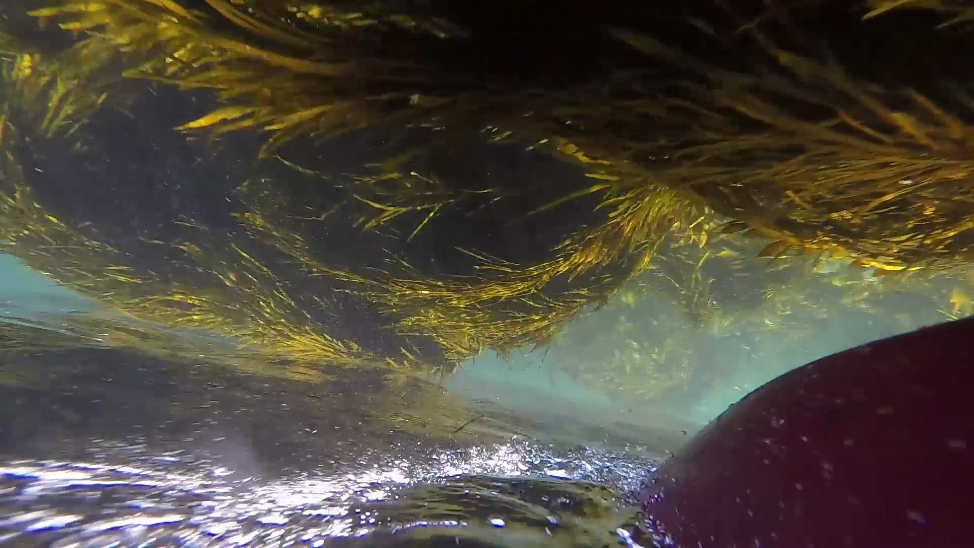 immersive kayaking 3 on Vimeo