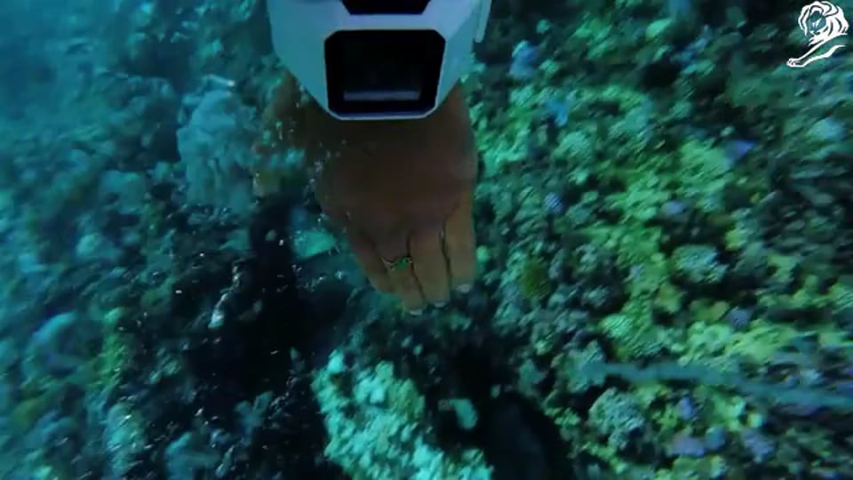 RipCurl Search - Cannes Case Study