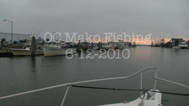 OC Mako Fishing 6-12-10 — Ocean City, Maryland