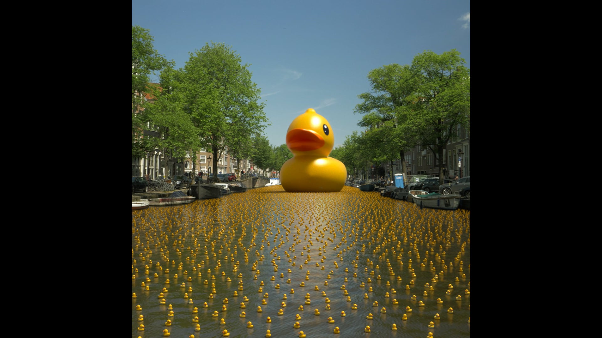 duckies
