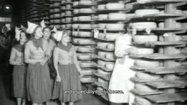 Gouda Cheese animation