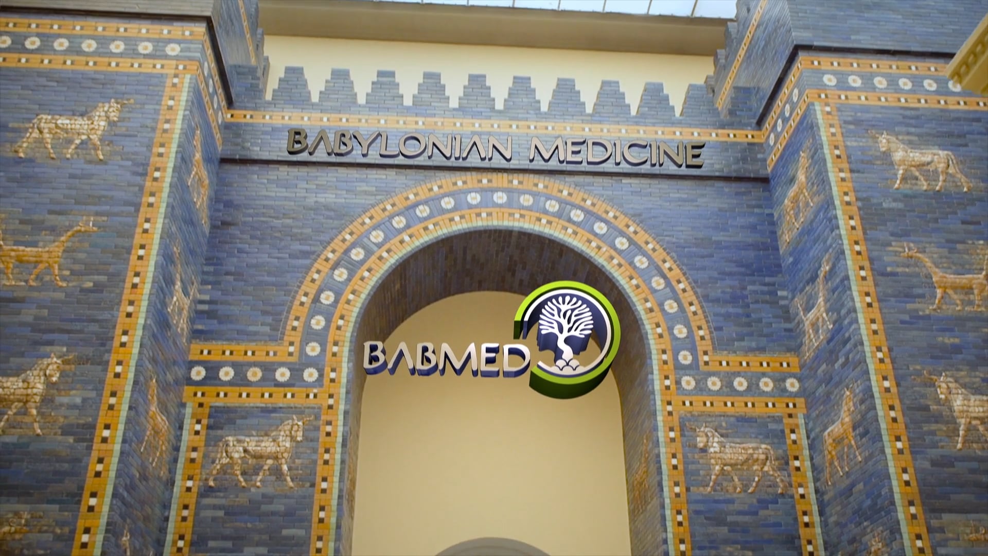 BabMed - Babylonian Medicin