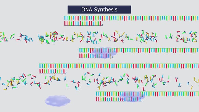 DNA profiling — Science Learning Hub