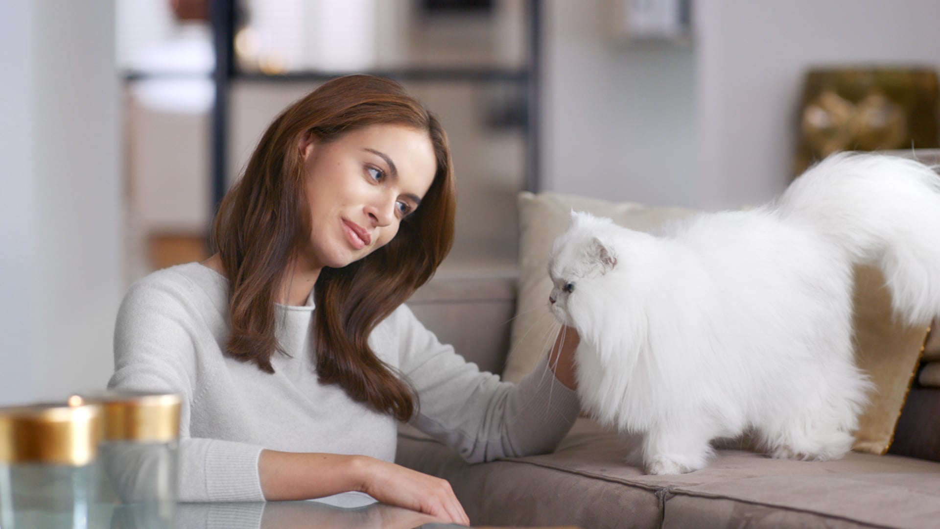 Purina "Melting Hearts"