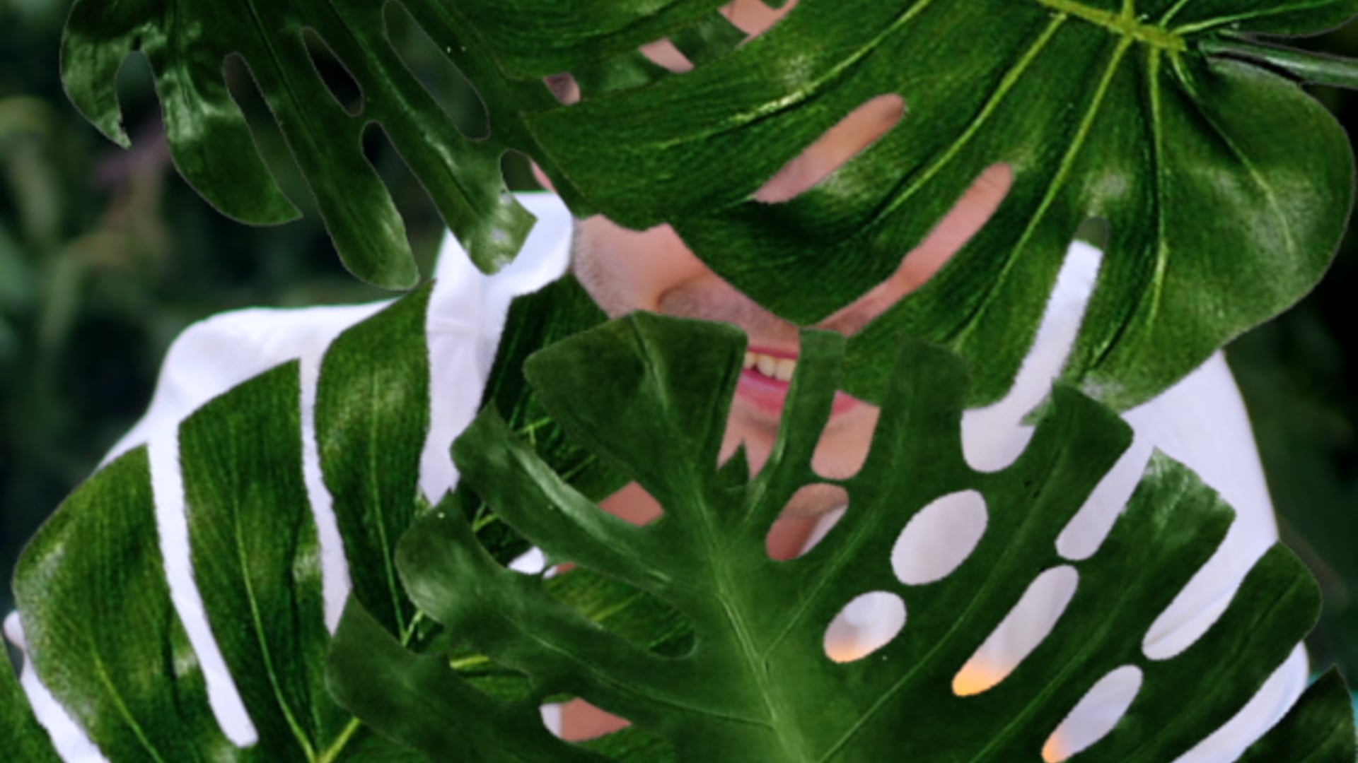 Francisco Lachowski HR