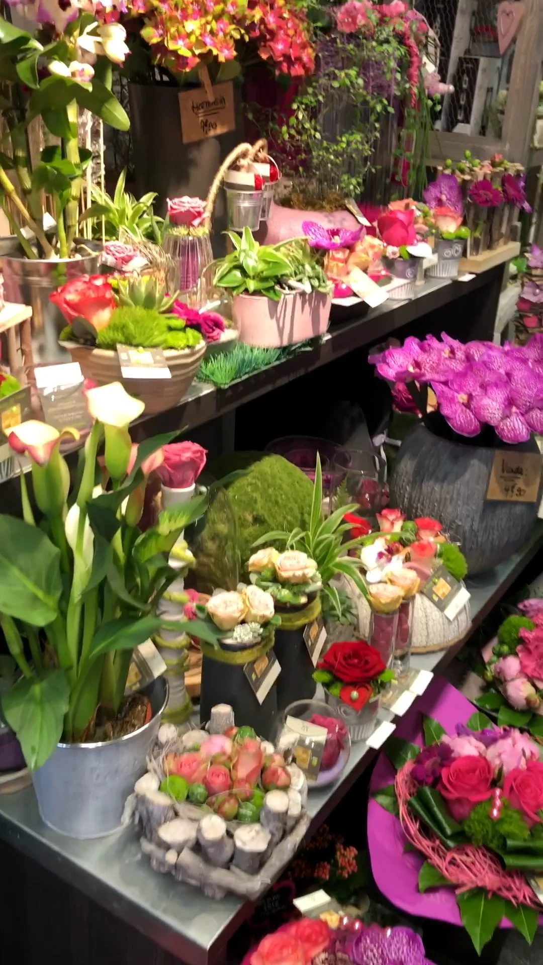 A FLEUR DE PEAU - Fleuriste Créateur à Rosheim on Vimeo